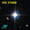 HD  37688