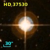 HD  37530
