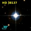 HD  38137