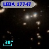 LEDA   17747
