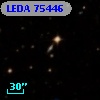 LEDA   75446