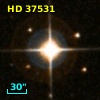 HD  37531
