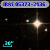 IRAS 05373-2836