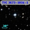 TYC 3673-1016-1