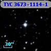 TYC 3673-1114-1
