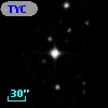 TYC 7061-942-1