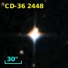 CD-36  2448