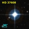 HD  37608