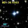 BD+36  4503