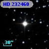 HD 232460