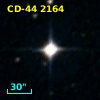 CD-44  2164