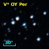 V* OY Per