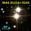 IRAS 01214+5255