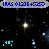 IRAS 01236+5253