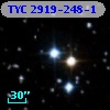 TYC 2919-248-1