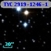TYC 2919-1246-1