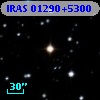 IRAS 01290+5300