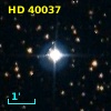HD  40037