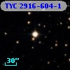 TYC 2916-604-1