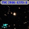 TYC 2916-1273-1