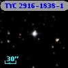 TYC 2916-1838-1