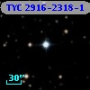 TYC 2916-2318-1