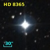 HD   8365