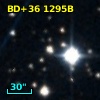 BD+36  1295B