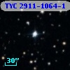 TYC 2911-1064-1