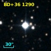 BD+36  1290