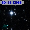 BD+36  1290B