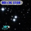 BD+36  1310