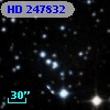 HD 247832