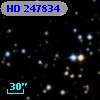 HD 247834