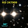 HD 247909