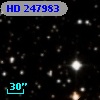 HD 247983