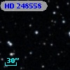 HD 248558