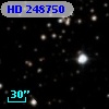 HD 248750