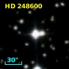 HD 248600