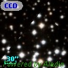 CCDM J05523+3236C