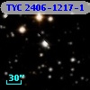 TYC 2406-1217-1