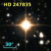 HD 247835