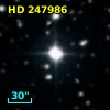 HD 247986