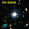 HD  40038