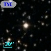 TYC 1874-1403-1