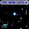 TYC 3670-1173-1