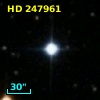 HD 247961
