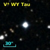 V* WY Tau