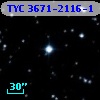 TYC 3671-2116-1
