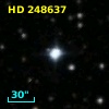 HD 248637